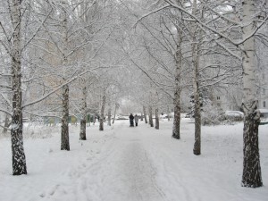 Белая аллея