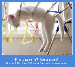 Беги к мечте!